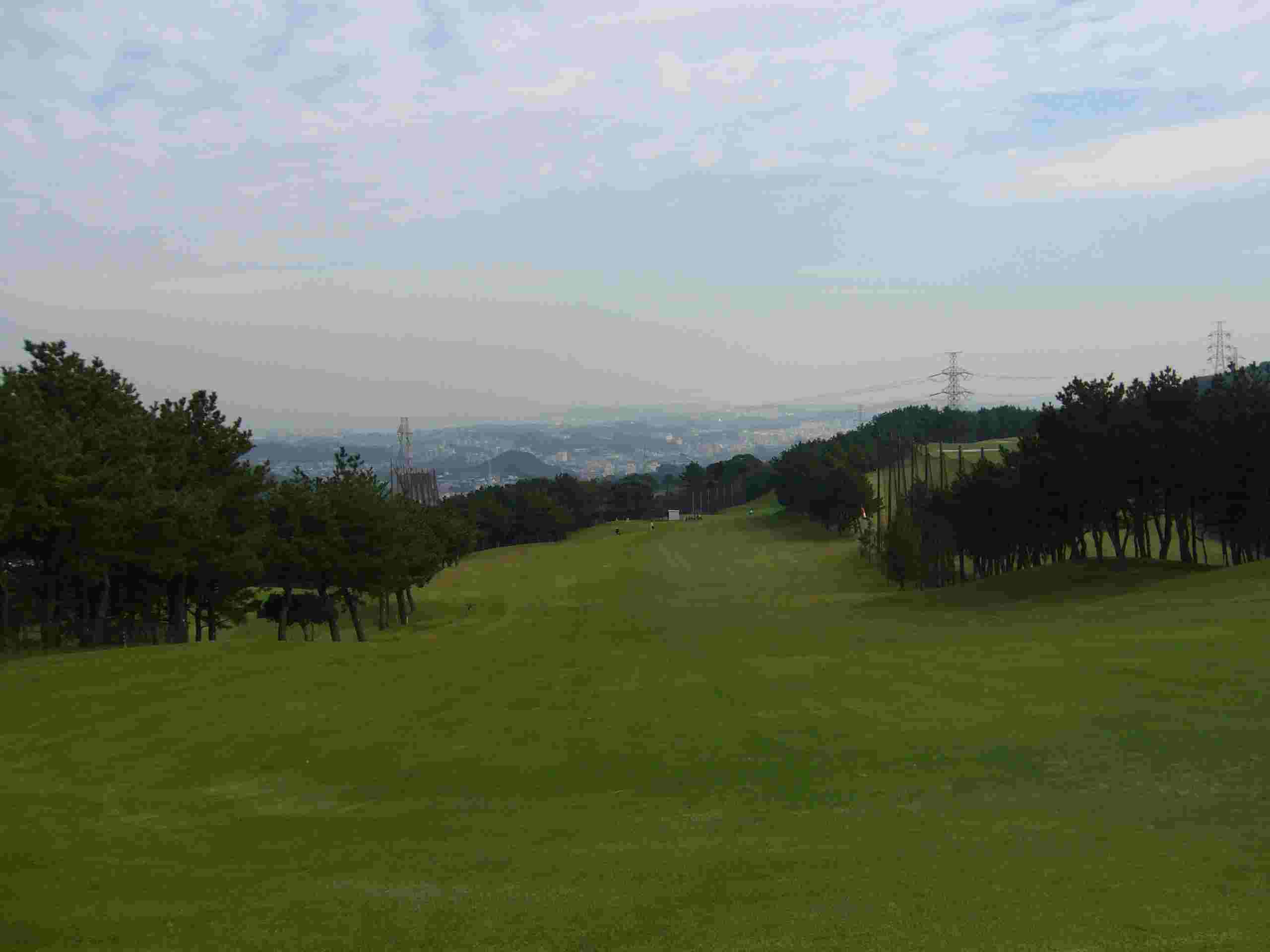f0157268_200331.jpg