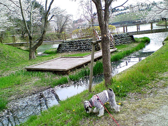 a0104569_14185554.jpg