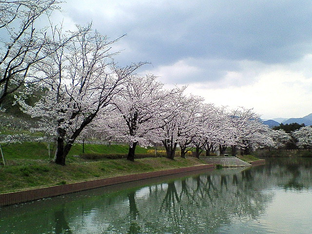 a0104569_14193854.jpg