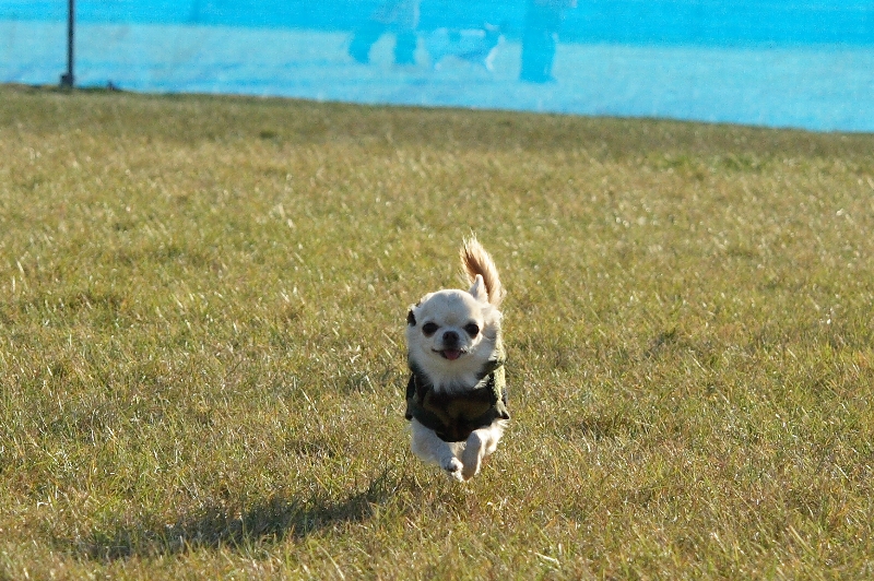 a0016775_0122313.jpg