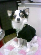 c0047979_0335016.jpg