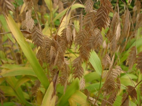 a0079880_0232881.jpg