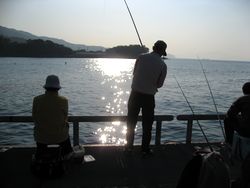 f0053885_731667.jpg