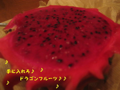 c0092787_1034018.jpg