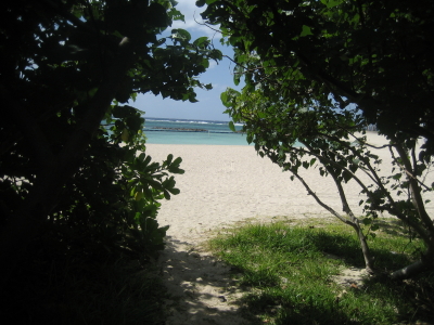 c0092787_921822.jpg