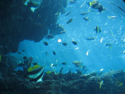 c0092787_9242710.jpg