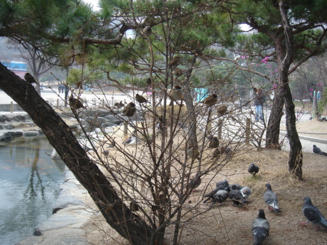 f0091590_2149316.jpg