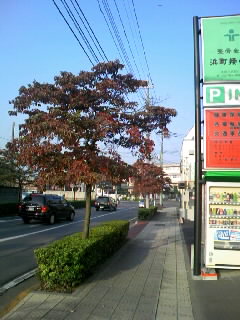 b0119892_23382777.jpg