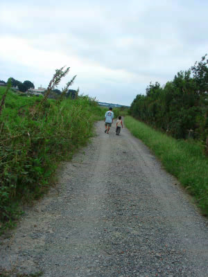 b0052394_12255283.jpg