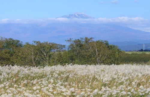 b0099994_18294017.jpg