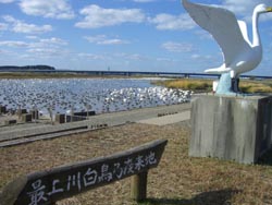 b0099994_18301912.jpg