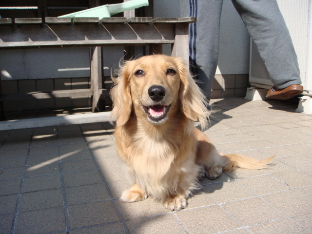 d0098295_16342590.jpg