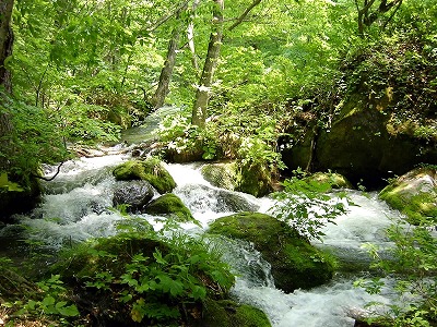 f0147602_1353169.jpg