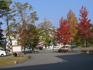 c0076204_22173234.jpg