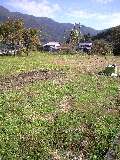 f0135908_831279.jpg