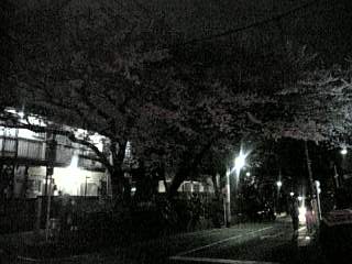 f0006510_20474833.jpg