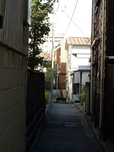 e0083212_1610168.jpg