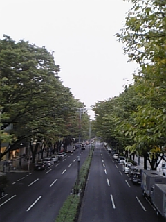 f0117618_18261922.jpg
