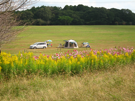 b0007619_2336247.jpg