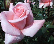 b0019820_20362168.jpg