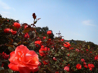 b0019820_21134752.jpg
