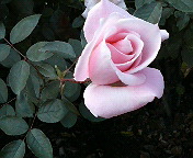 b0019820_2191090.jpg