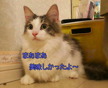 a0090729_3254383.jpg