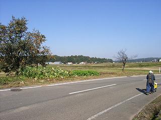 a0070831_8515353.jpg