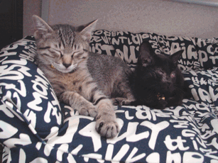 c0136736_14451950.gif