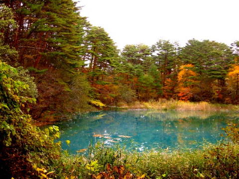 b0117437_13729100.jpg