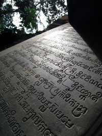 d0061338_2392428.jpg