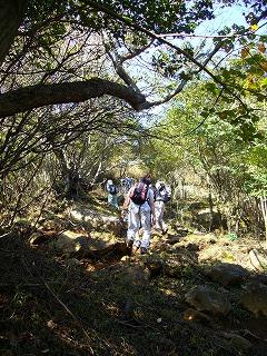 f0065941_0235259.jpg