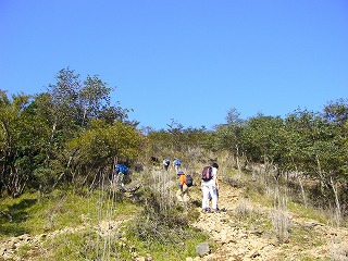 f0065941_0241978.jpg