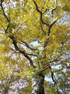 f0065941_042450.jpg