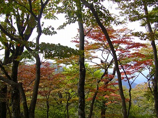 f0065941_0424638.jpg