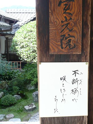 c0057946_18531221.jpg