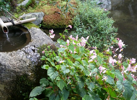 c0057946_18544597.jpg
