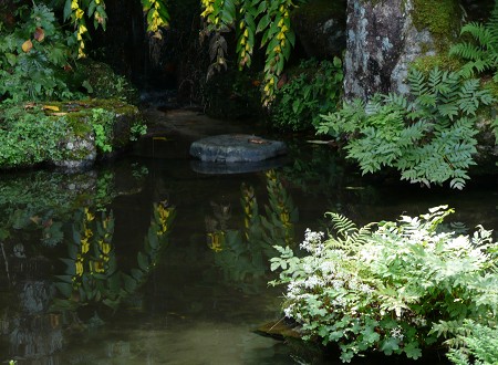 c0057946_1855149.jpg