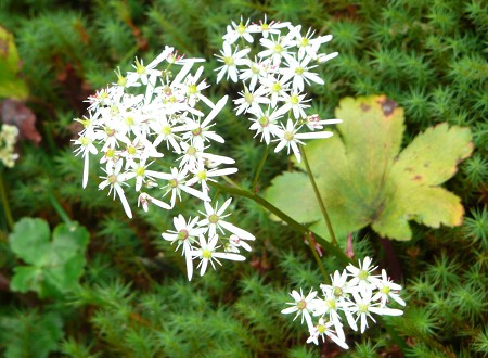 c0057946_18551670.jpg