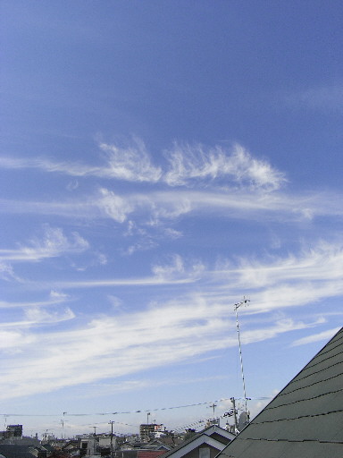d0013149_0505316.jpg