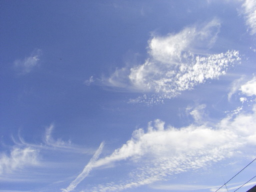 d0013149_053470.jpg
