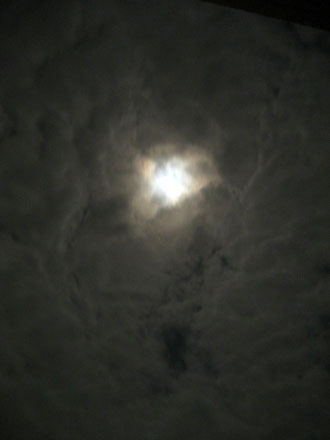 c0003752_0391786.jpg
