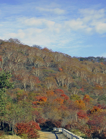 a0001354_19323637.jpg