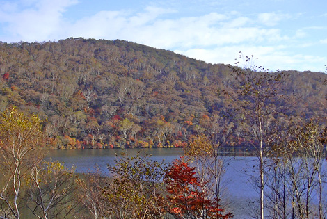 a0001354_19355625.jpg