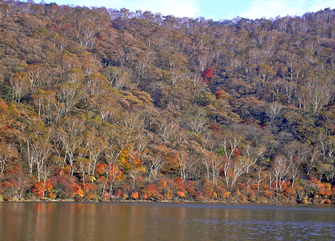 a0001354_1937732.jpg
