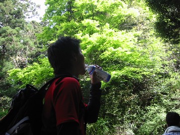 e0014756_17295771.jpg