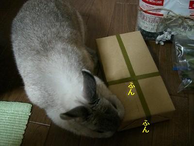 f0104057_2154926.jpg