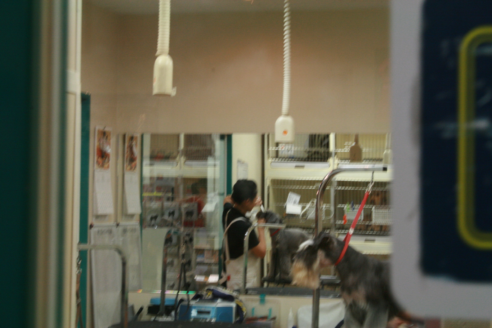 e0119258_17452369.jpg