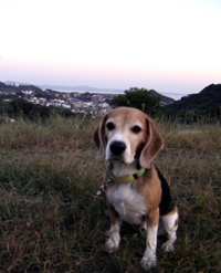 e0007060_18514795.jpg