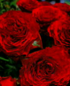 f0009863_17241148.jpg